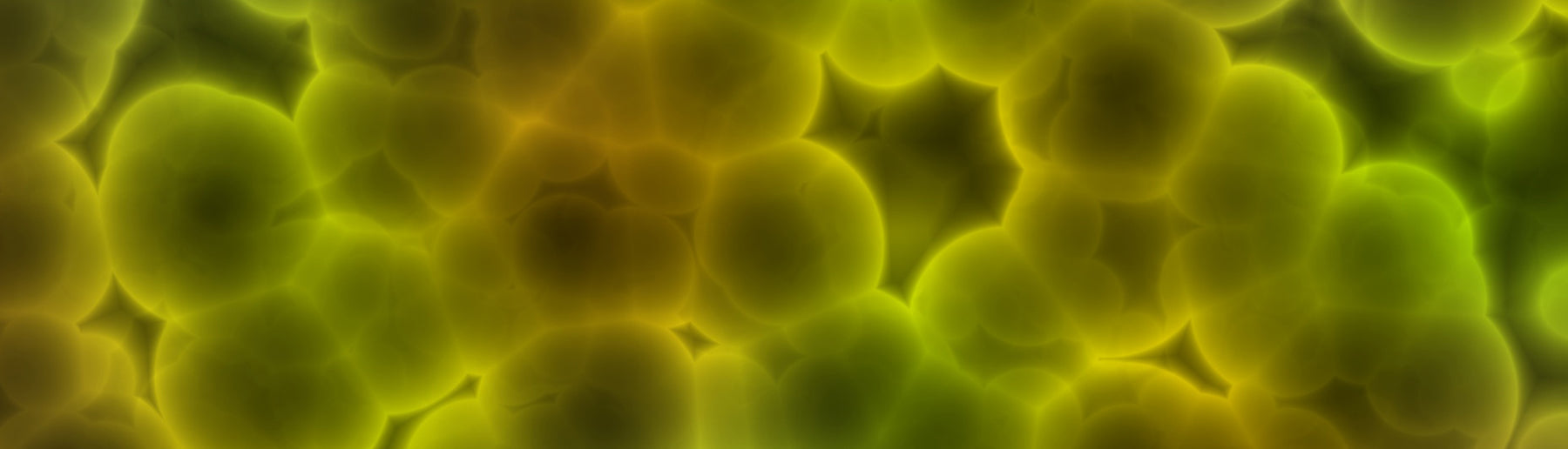 How to prevent skin infection for BJJ and grappling practitioners