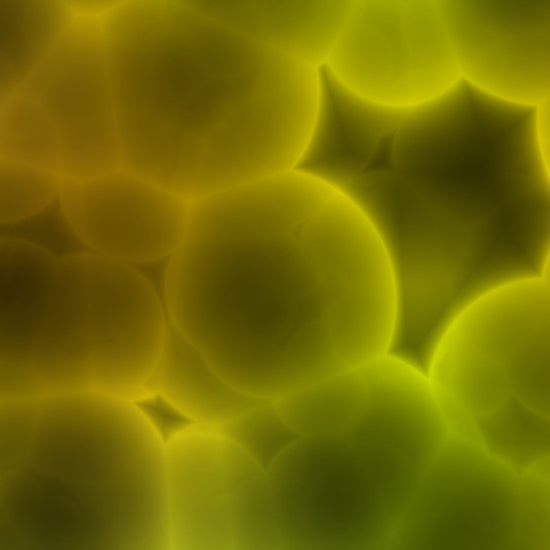 How to prevent skin infection for BJJ and grappling practitioners