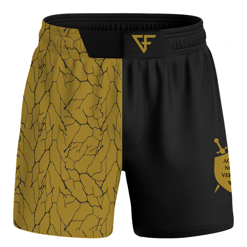 Ground Force ANV V2 Shorts XXXL